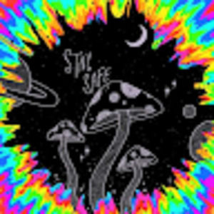 Meet your Posher, Trella